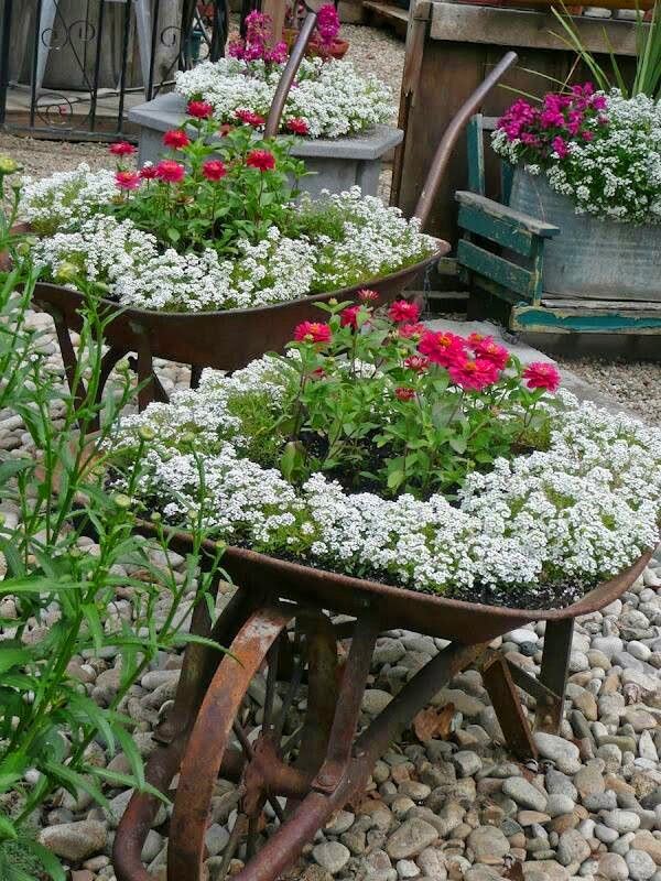 How To Decorate The Garden With Some Wheelbarrow Planters Top Dreamer