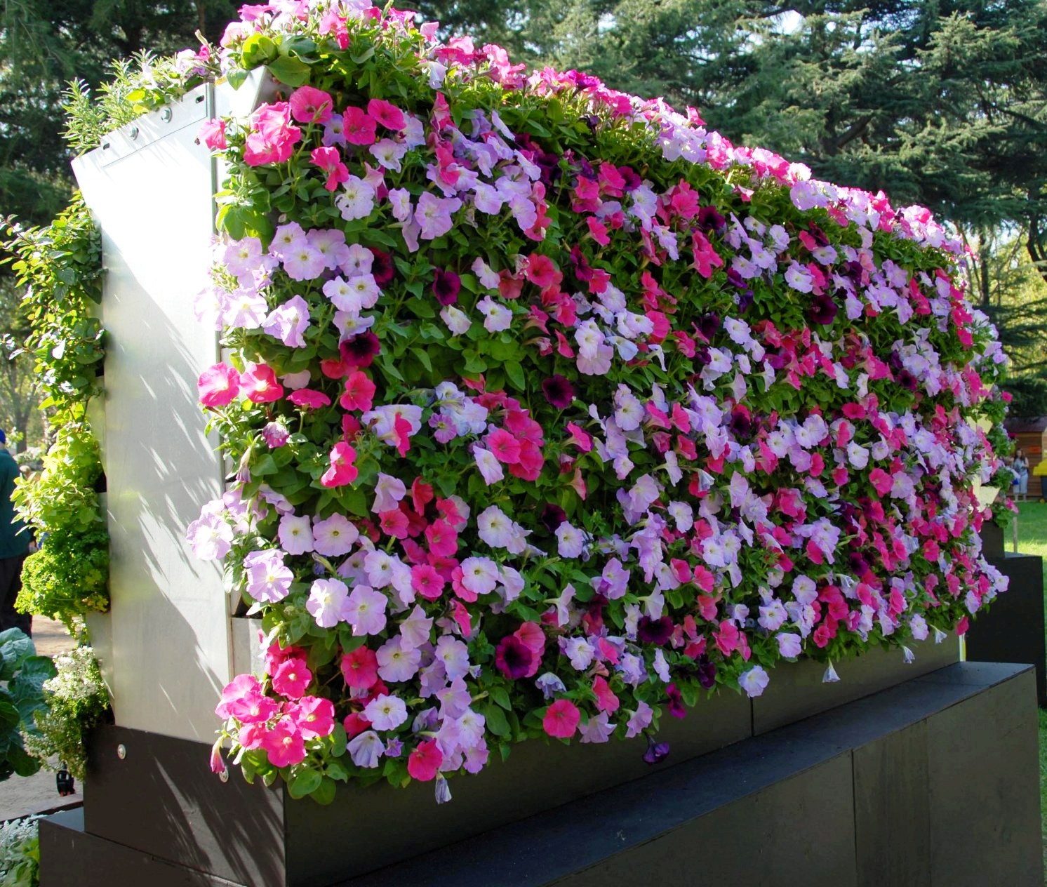 EyeCatching Vertical Gardens That Can Beautify Any Plain Wall Top