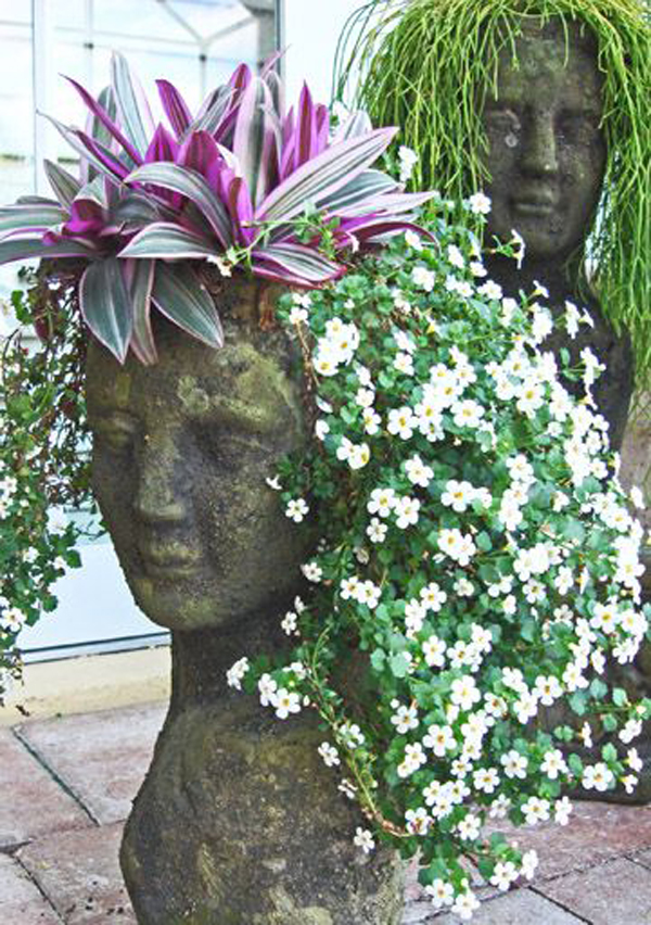 Absolutely Awesome Head Planters That Will Make Your Day Top Dreamer