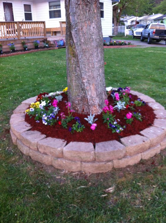 15 EyeCatching Flower Beds Around Trees You Need To See Top Dreamer