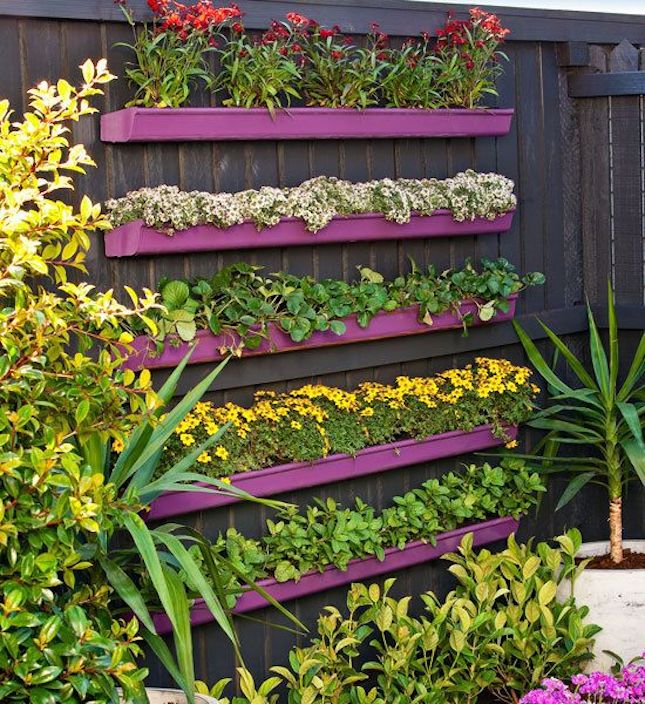 Amazing Rain Gutter Gardens You Should Not Miss Top Dreamer