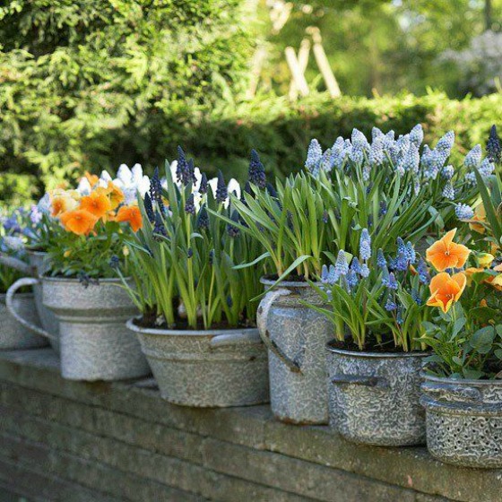 10 Brilliant Planter Alternatives for Your Backyard Top Dreamer
