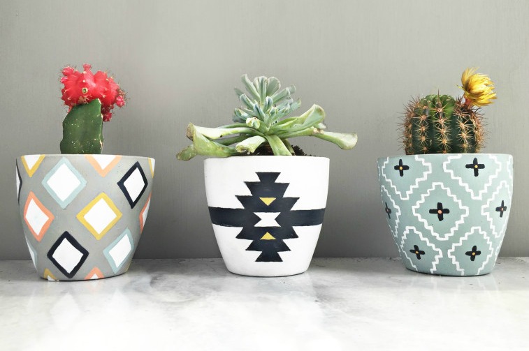 Creative DIY Cactus Planters You Need To See Top Dreamer