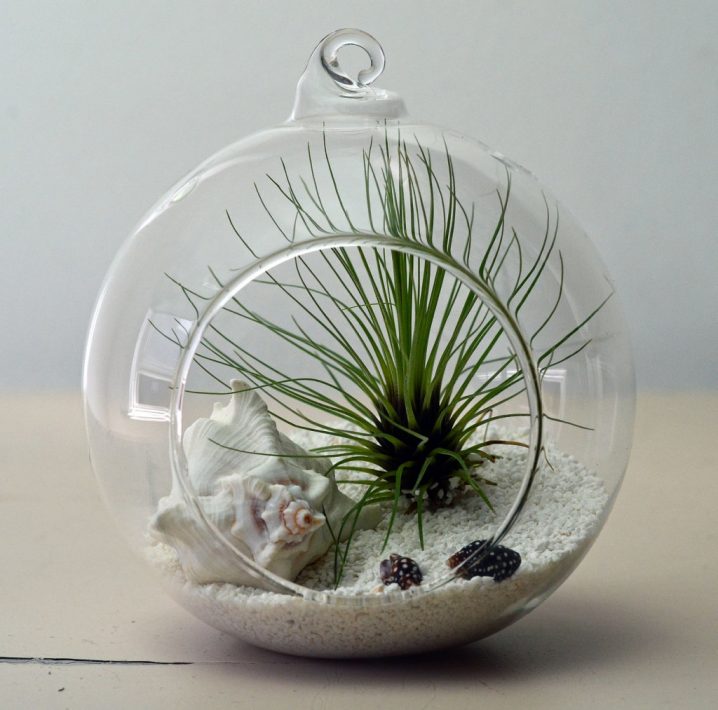 Decorative Terrariums That Look Like Great Work of Art Top Dreamer