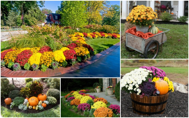 Amazing Fall Front Yard Decorations That Will Fascinate You Top Dreamer