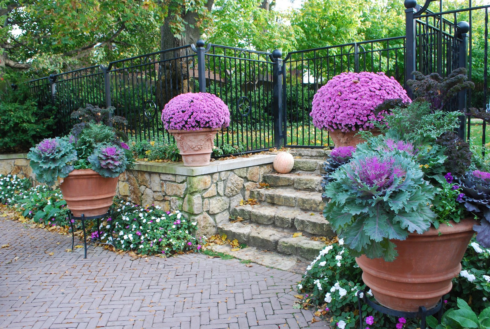 Impressive Ornamental Cabbage Decorations To Beautify Your Outdoors