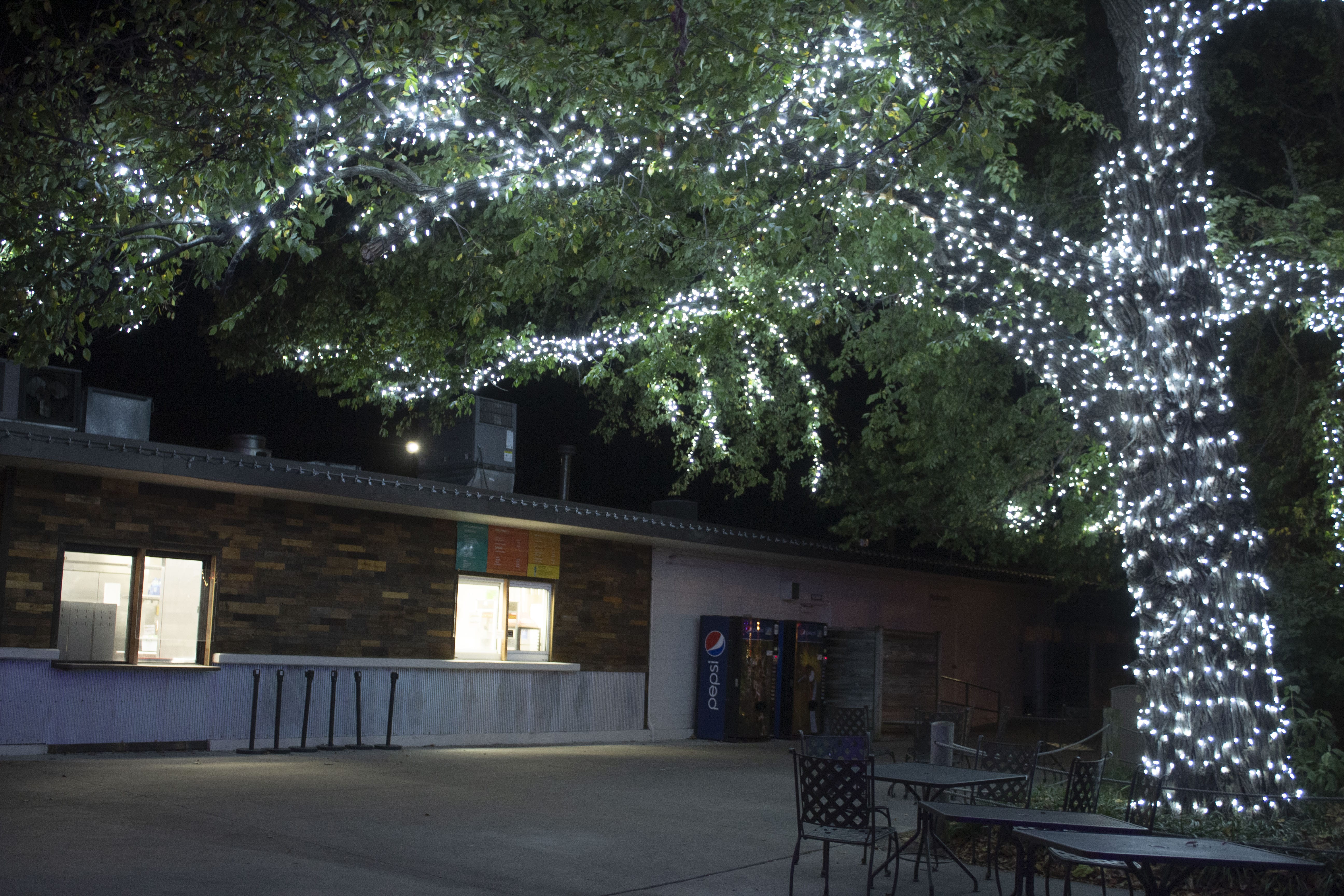 Zoo Blog Topeka Zoo & Conservation Center