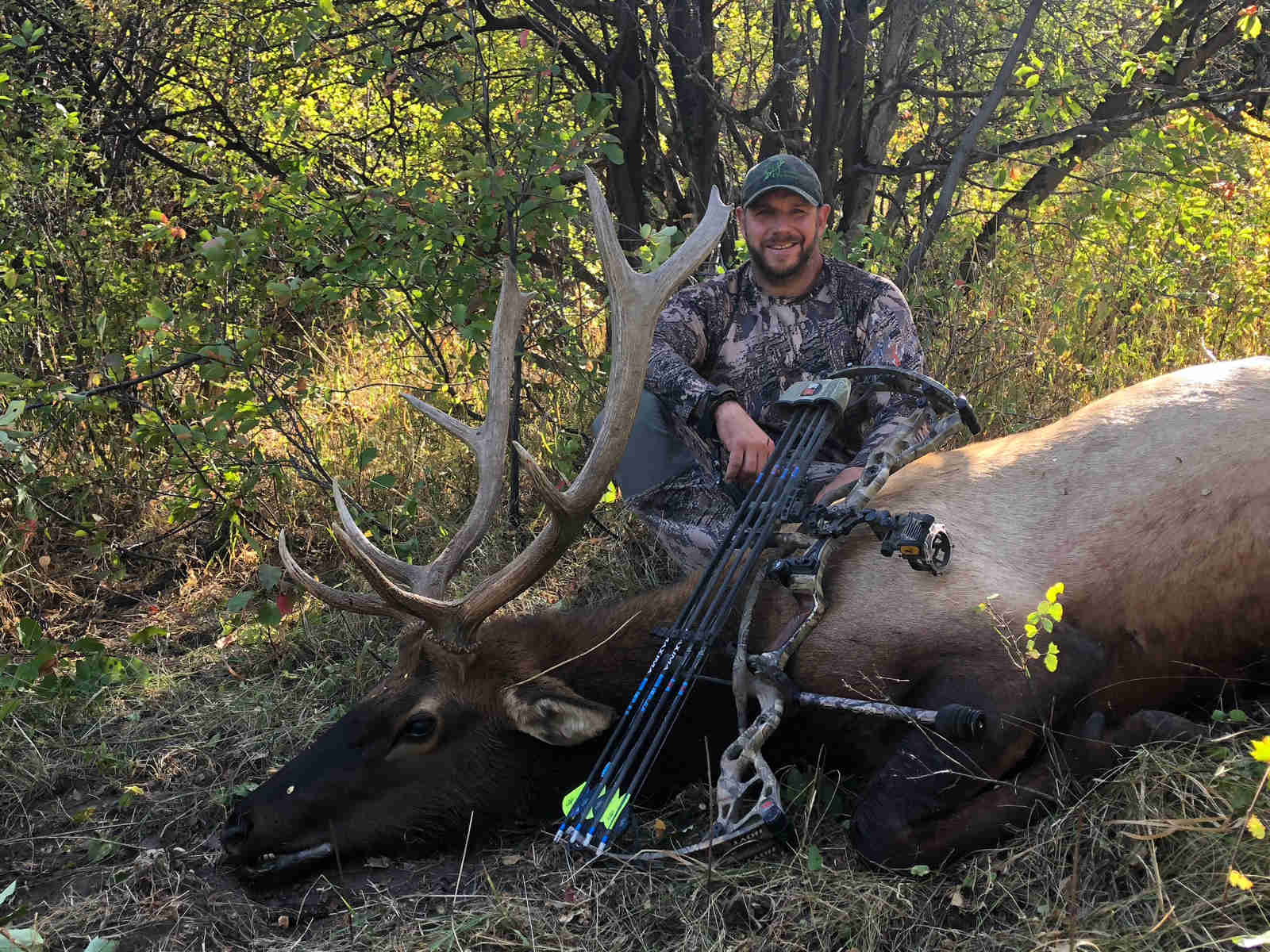 Trip Report Colorado Archery Elk Hunt Top End Adventures