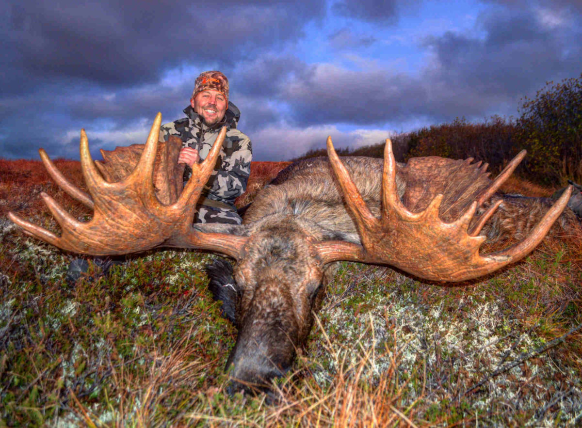 Alaska Moose Hunt Top End Adventures