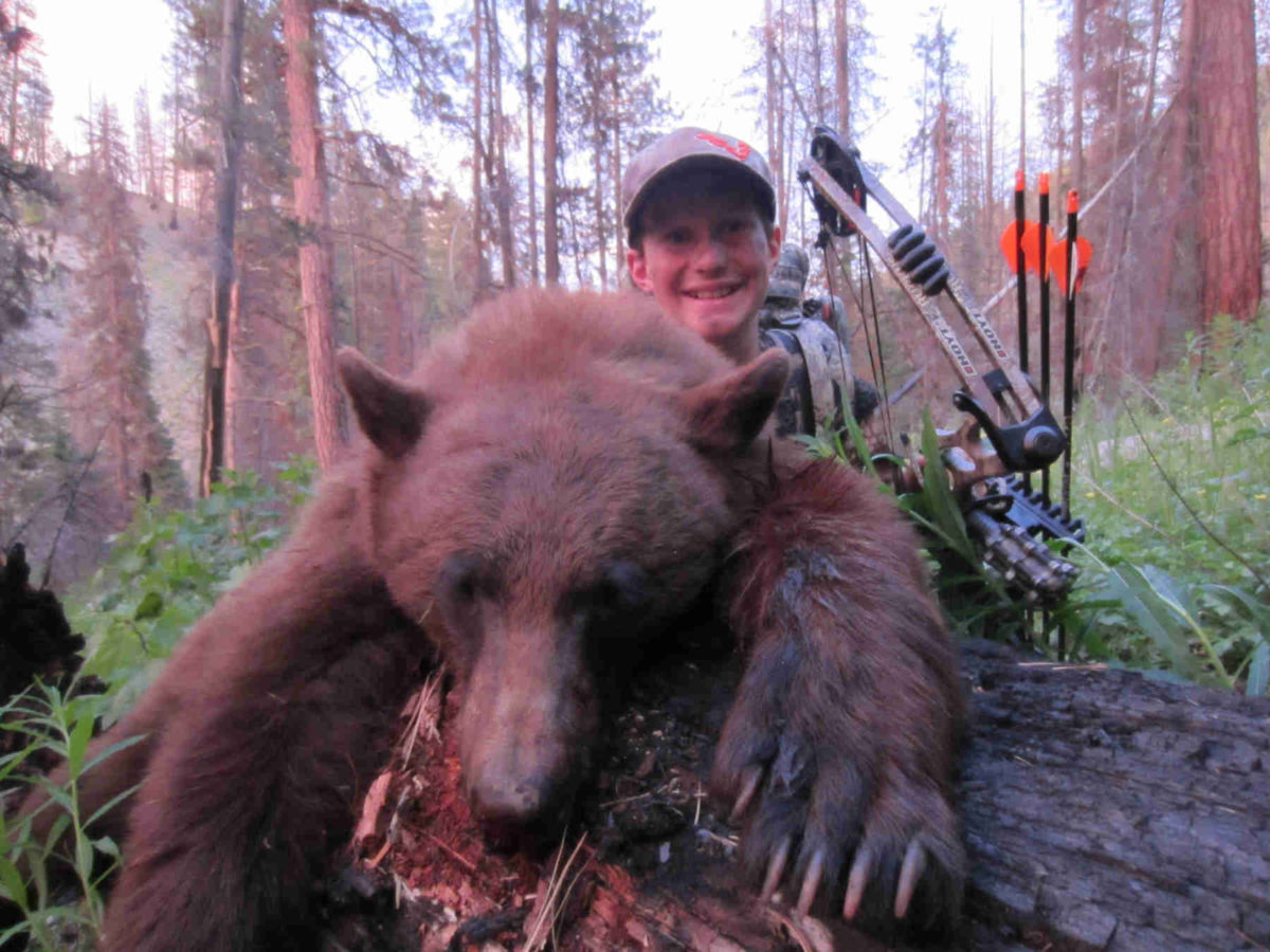 Idaho Trophy Black Bear Hunt Top End Adventures