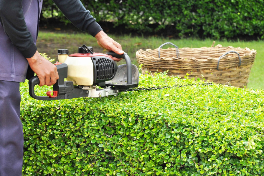 Tree Removal Brisbane Best Grind It Stump Removal 2021