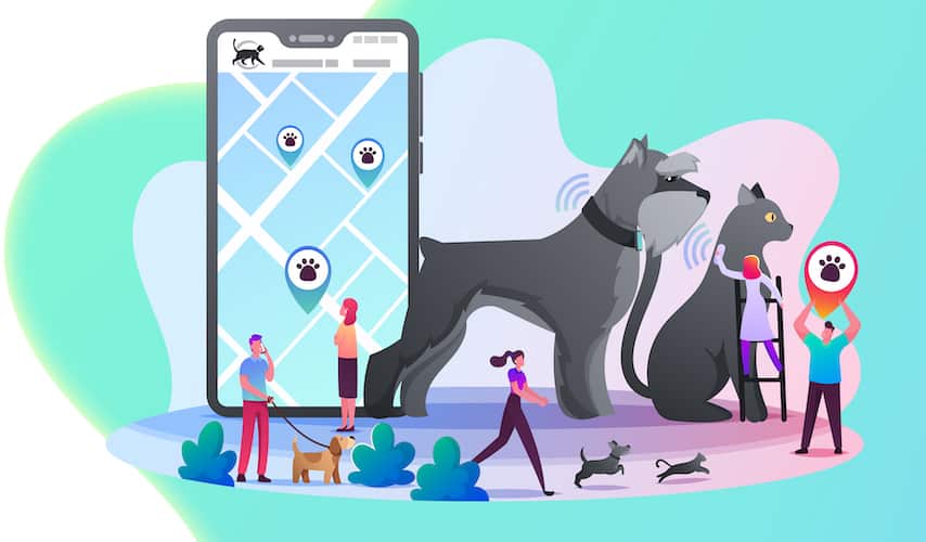 How to Build Vet OnDemand App for Better Pet Care