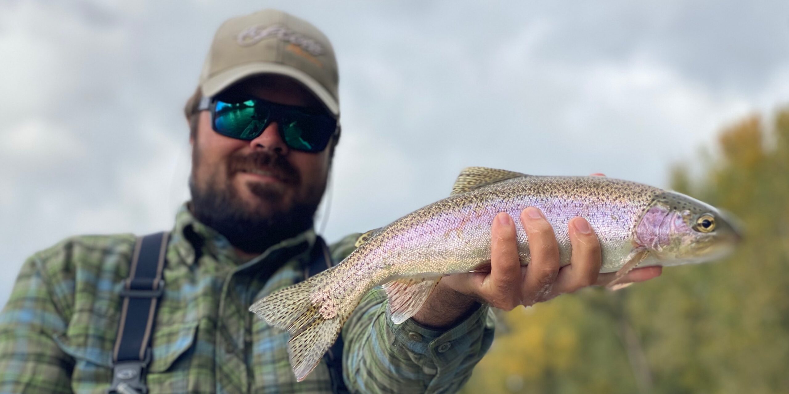 Fly Fishing Rainbow Trout