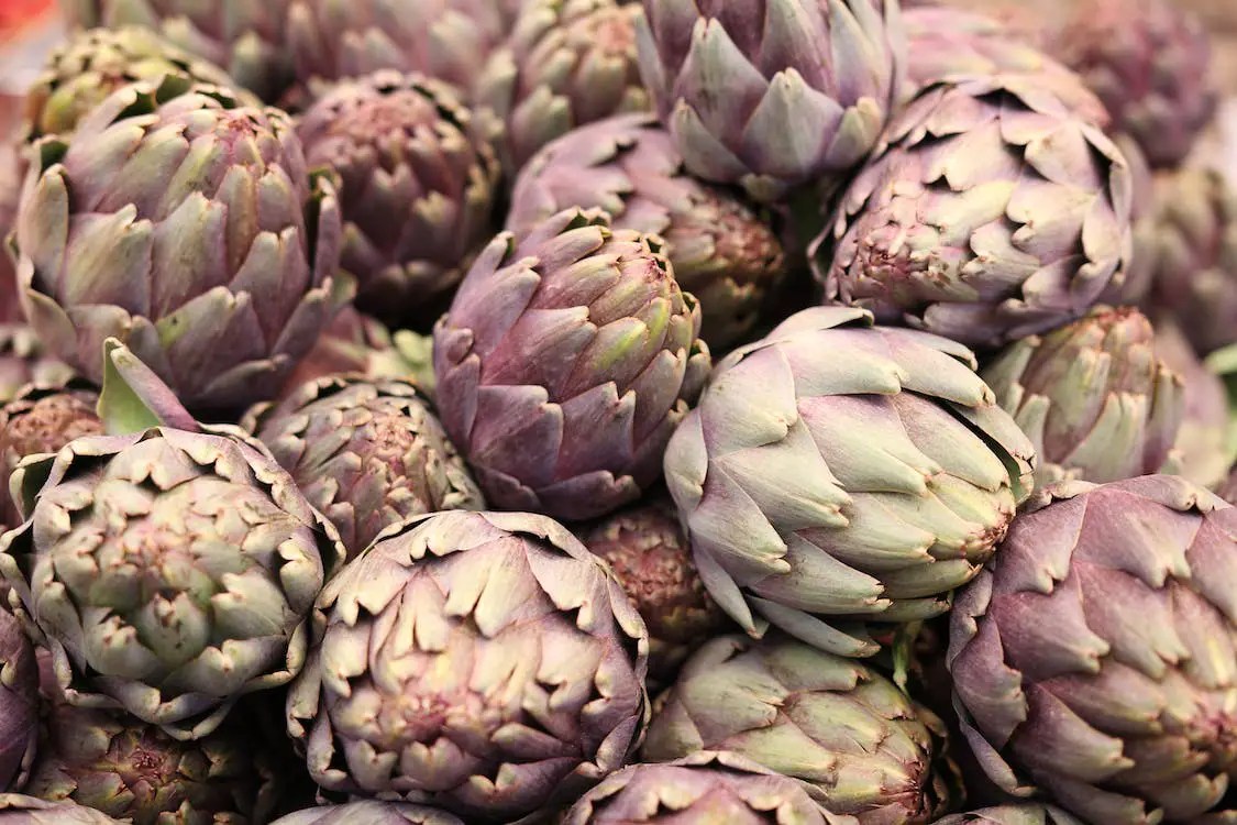 How to Store Artichokes? Top Food Storage Reviews