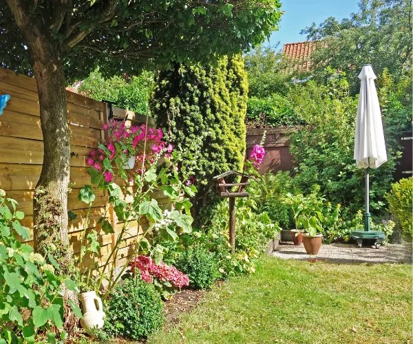 3 easy essential tips for your garden this summer Top Garden Services