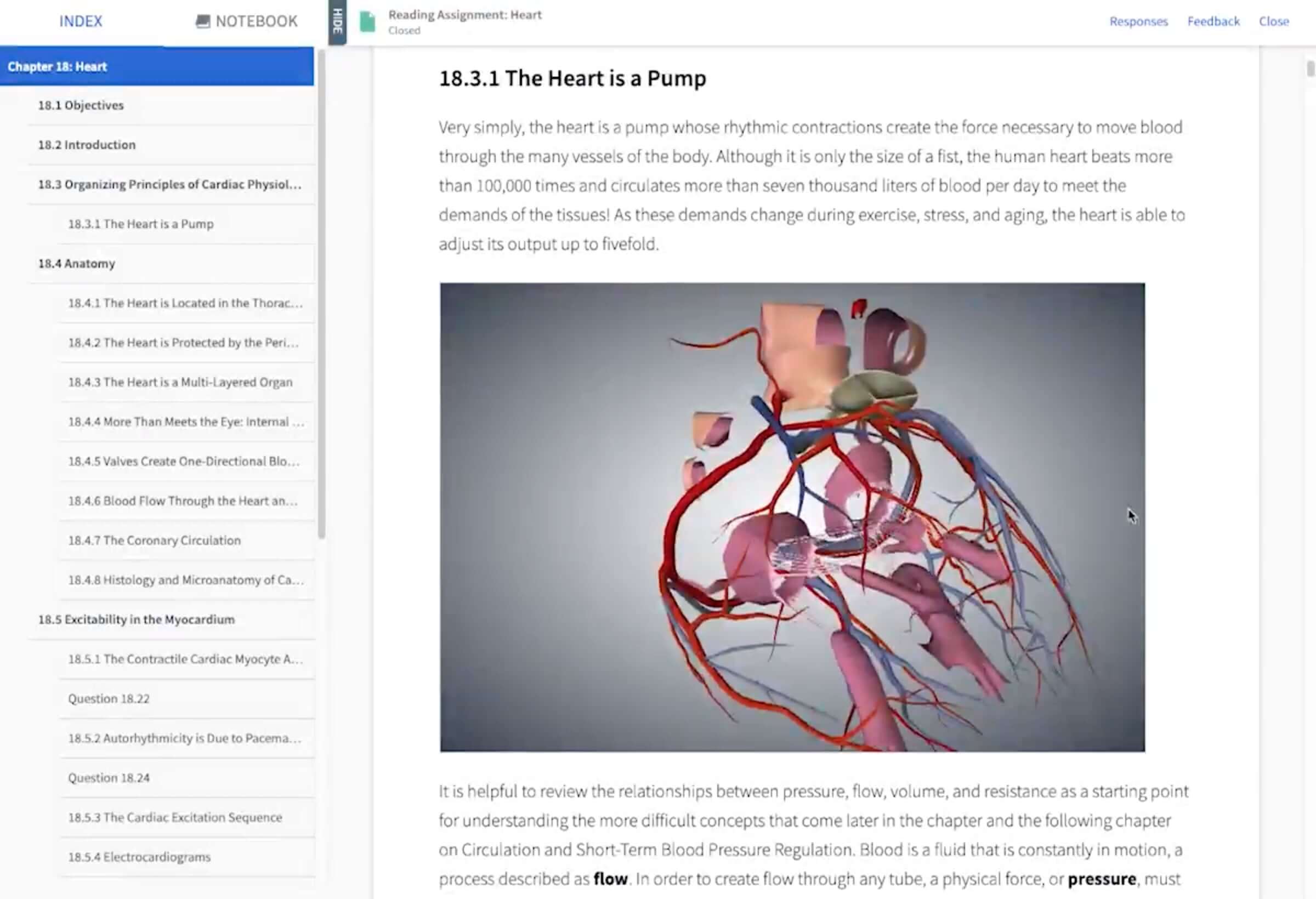Rutgers Anatomy And Physiology
