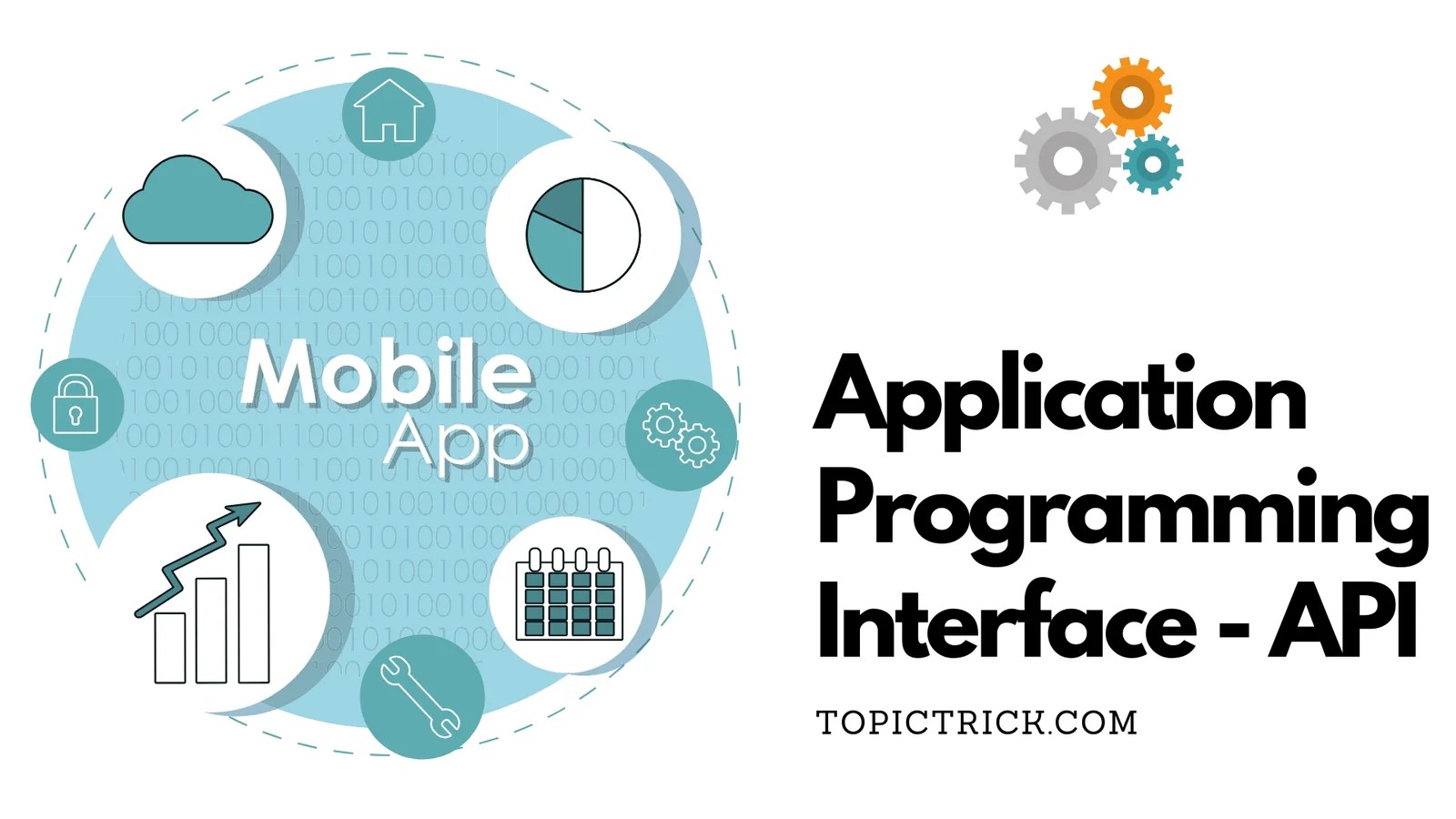 What Is An Api Application Programming Interfaces Explained 7wdata Vrogue