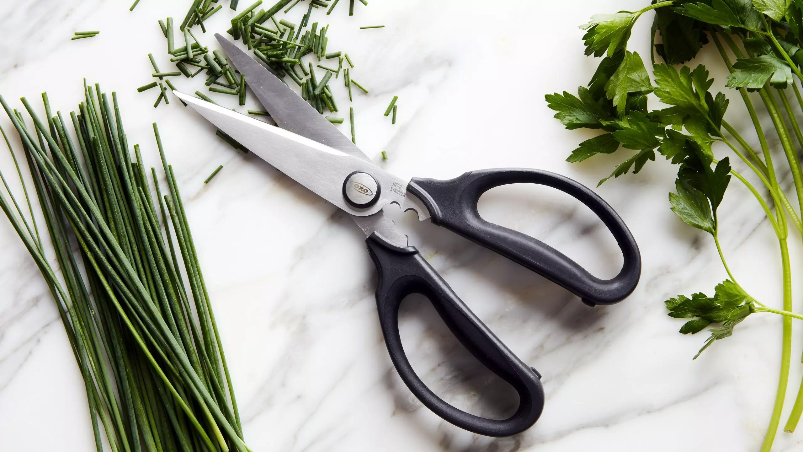 Best Kitchen Shears 2023 New Features and Review Buying Guide