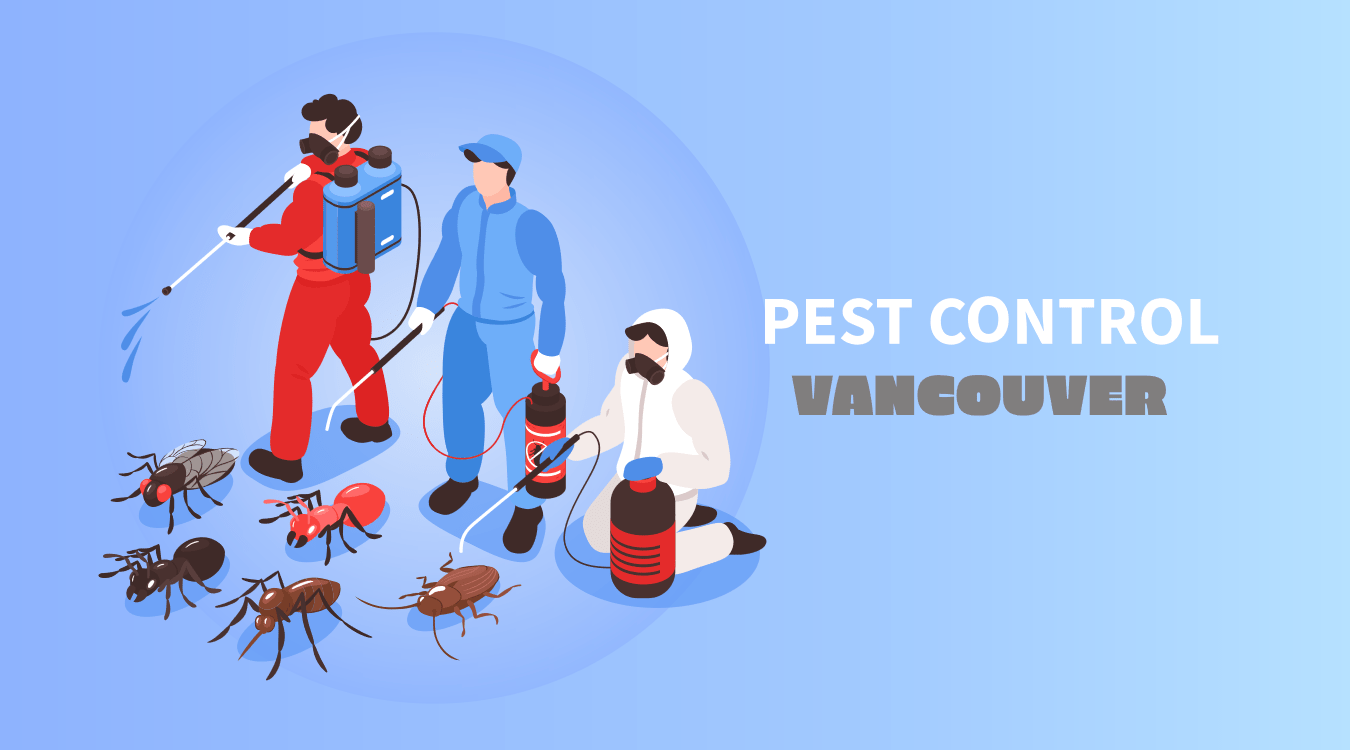 Commercial Pest Control Vancouver Pest Exterminator Vancouver