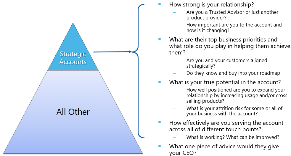 Executive Voice of the Customer Topline Strategy