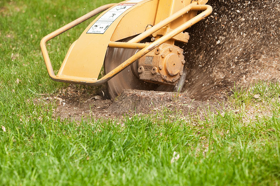 Stump Grinding Service Tigard, Lake Oswego & SW Portland