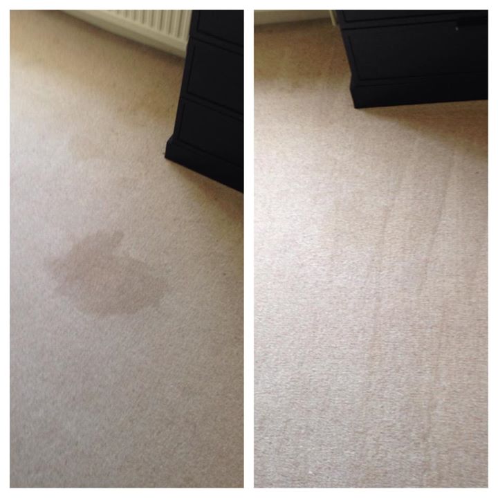 Stain removal, coffee stain on a wool carpet in Norwich