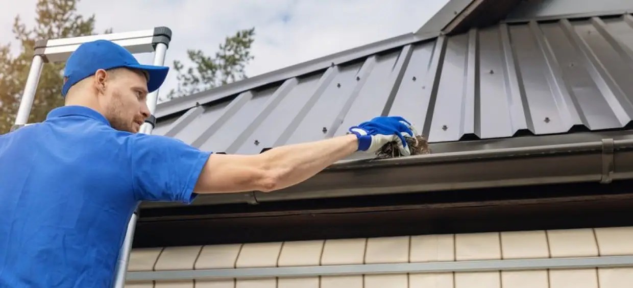 Best Gutter Cleaning Services in Littleton, Colorado
