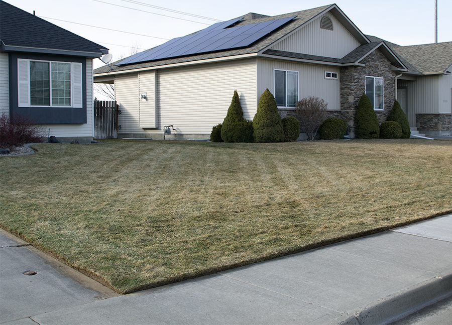 Gallery Top Notch Lawns & Landscaping of Idaho Falls