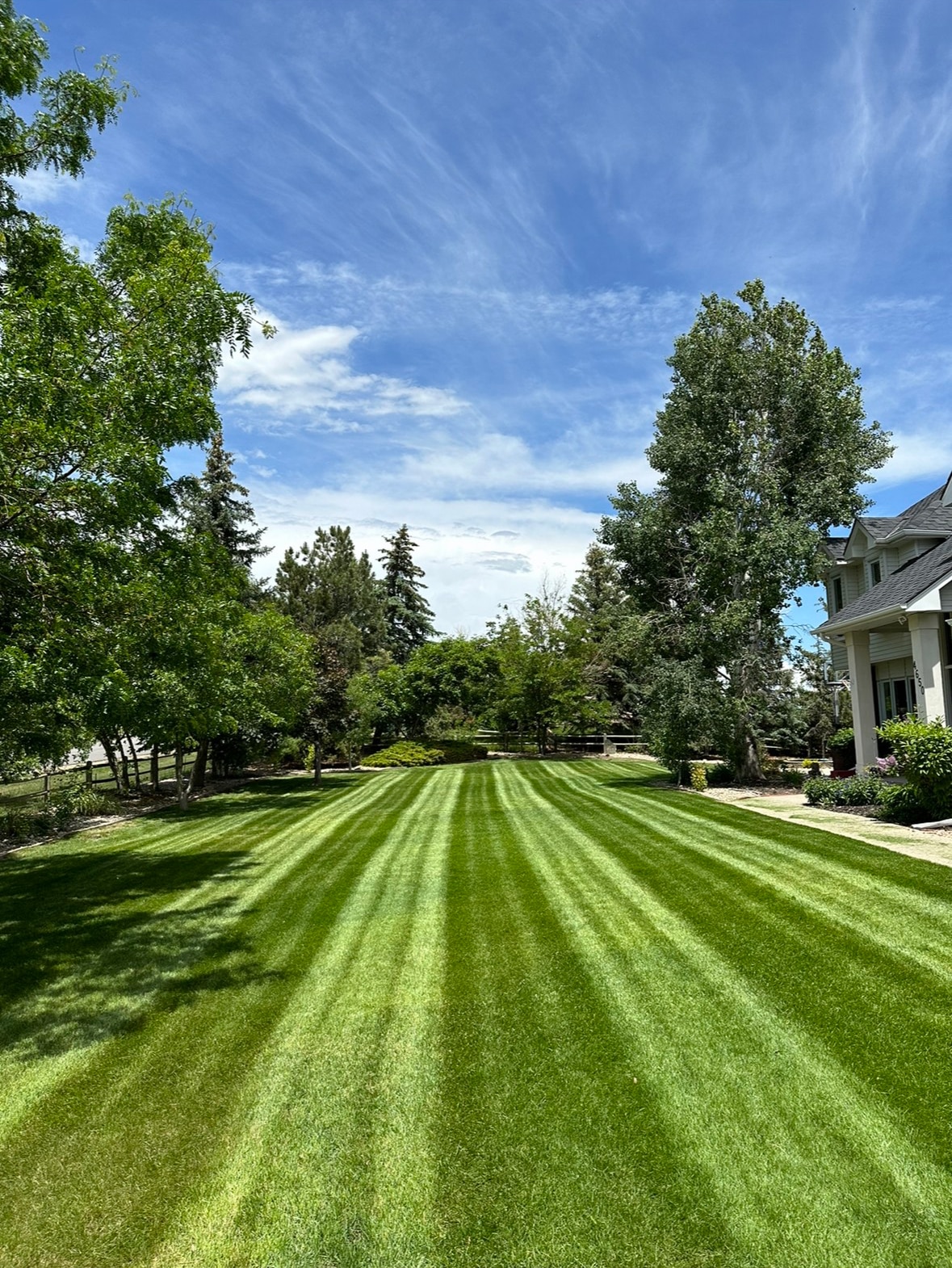 Top Notch Landscape & Maintenance