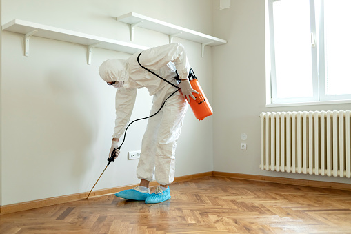 What Is the Average Cost For Pest Control Services? Pest Control Solution