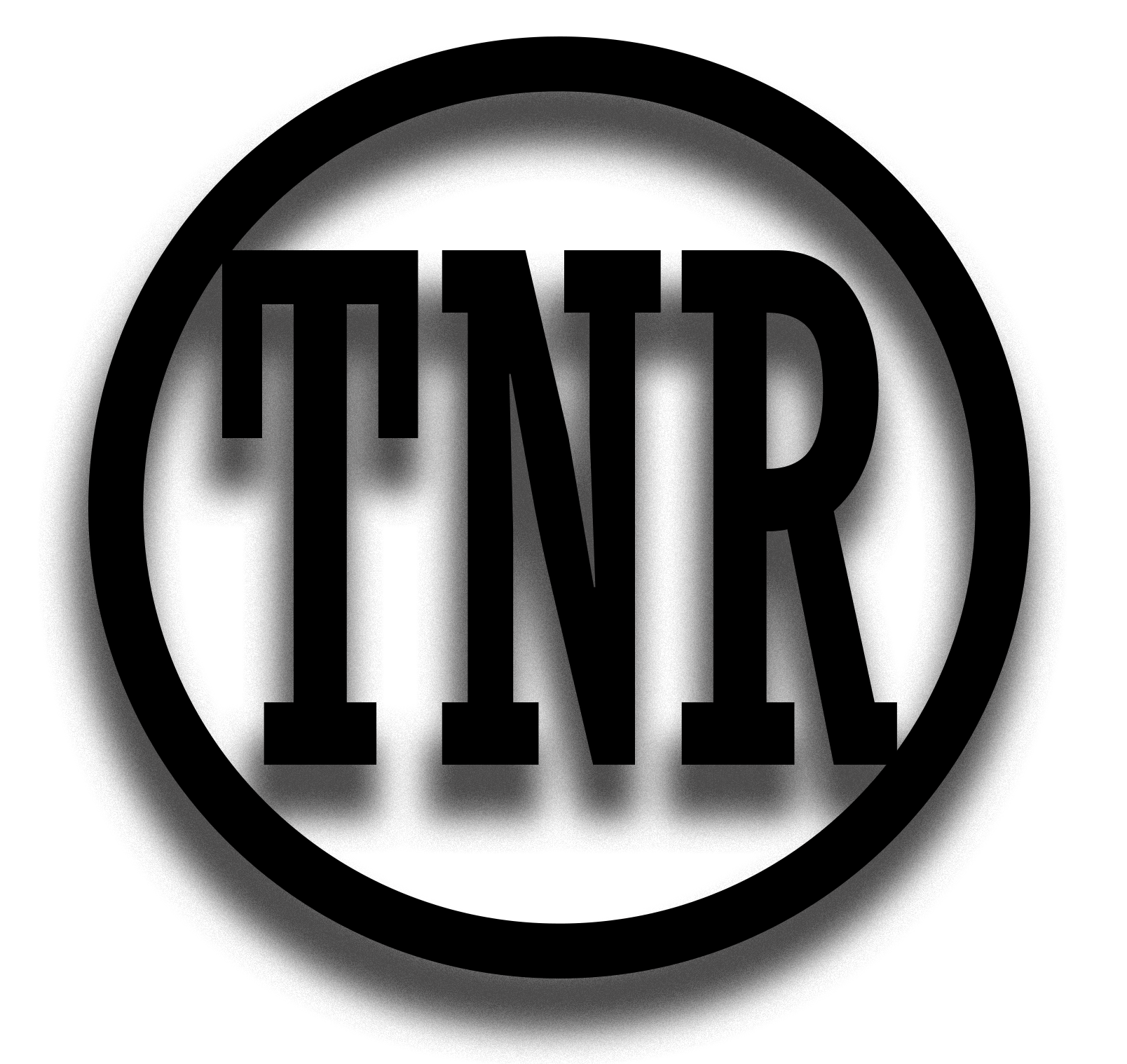 Listings Top Notch Realty Associates