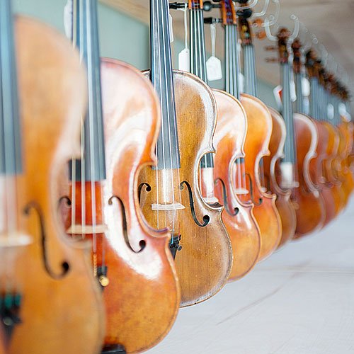 St. Louis Viola Rentals, by Top Notch Violin Stores