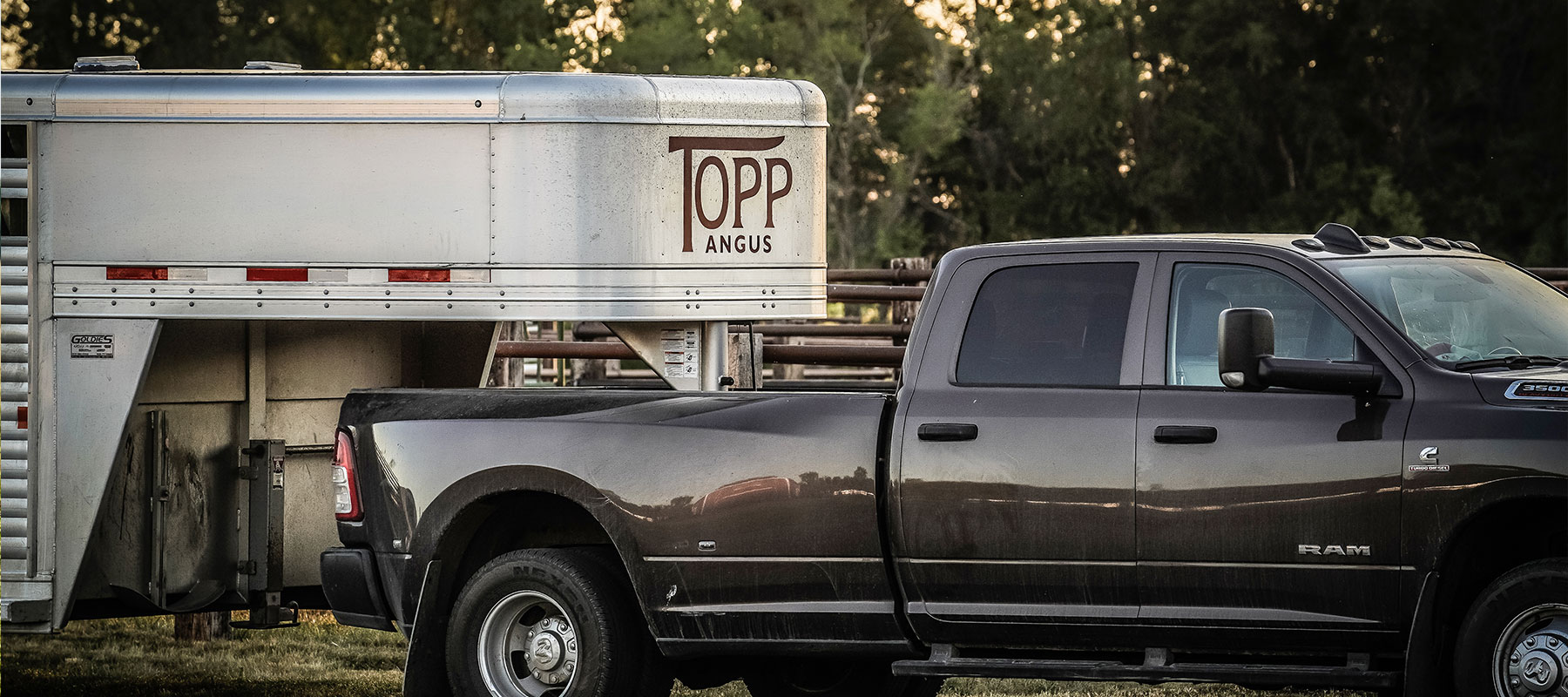 TOPP ANGUS Grace City, North Dakota