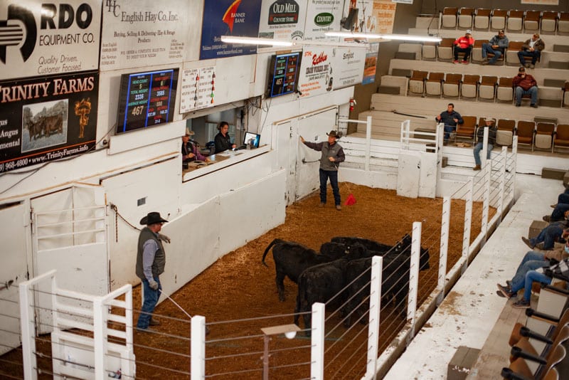 Toppenish Livestock Auction Photo Gallery