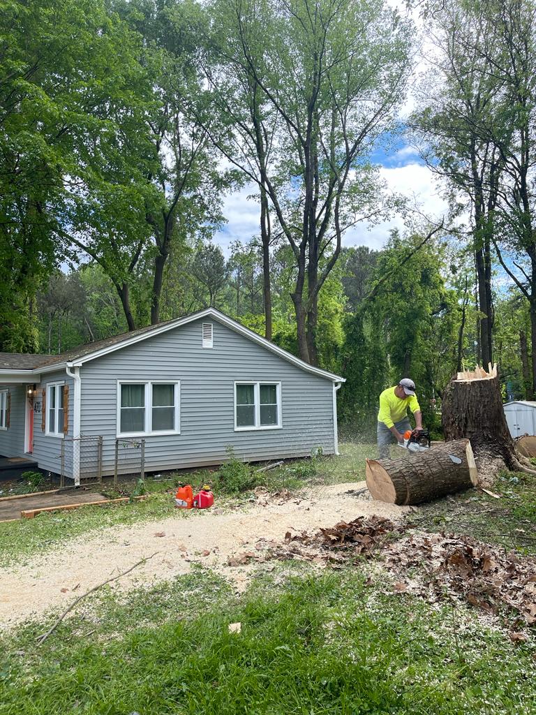 Top Pine services Top Pine services