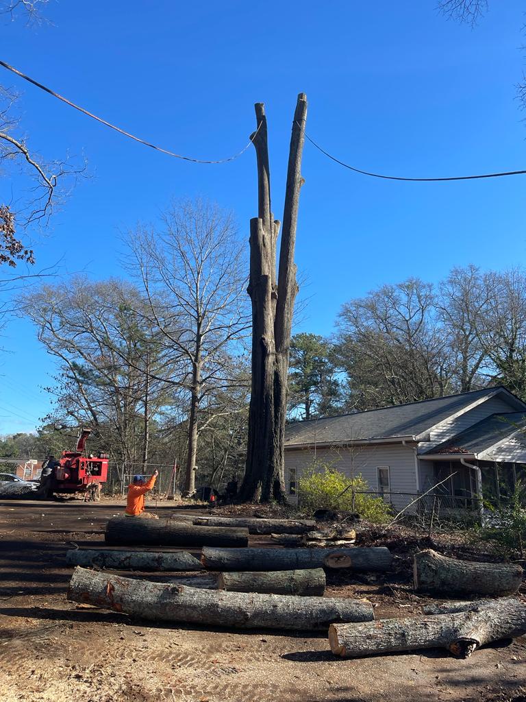 Top Pine services Top Pine services