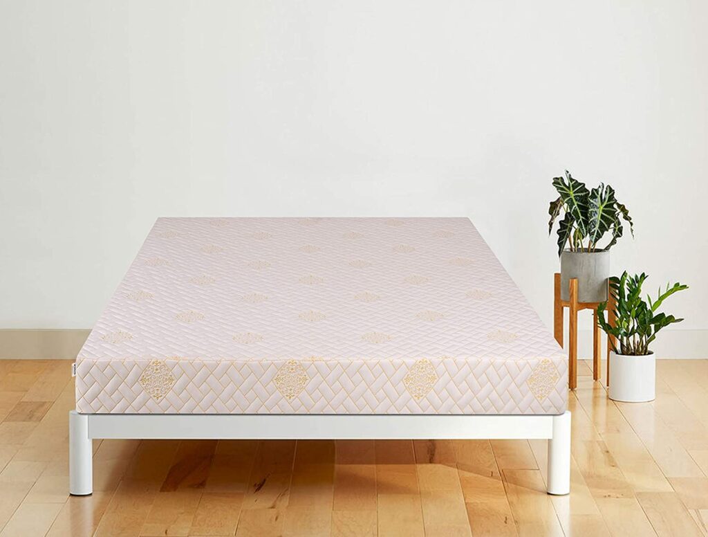 Best Mattress for Back Pain in India Top Ranke Top Rank List of the Best