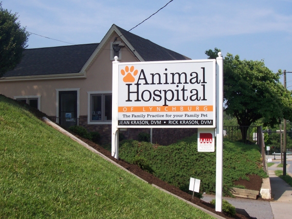 6 Top Rated Veterinarians In Nashua, New Hampshire Best Reviewed Experts
