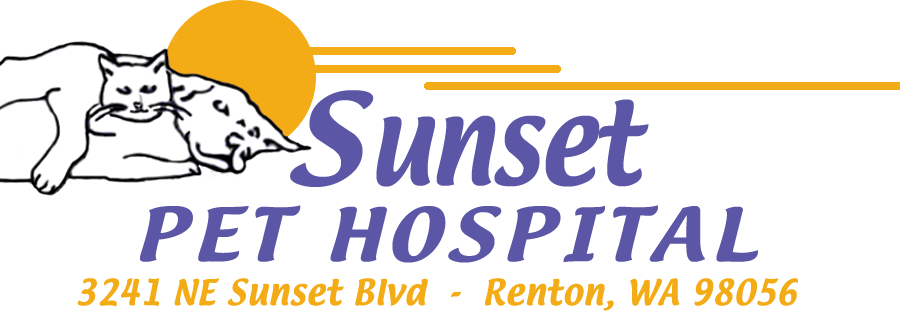 6 Top Rated Veterinarians In Renton, Washington Best Reviewed Experts