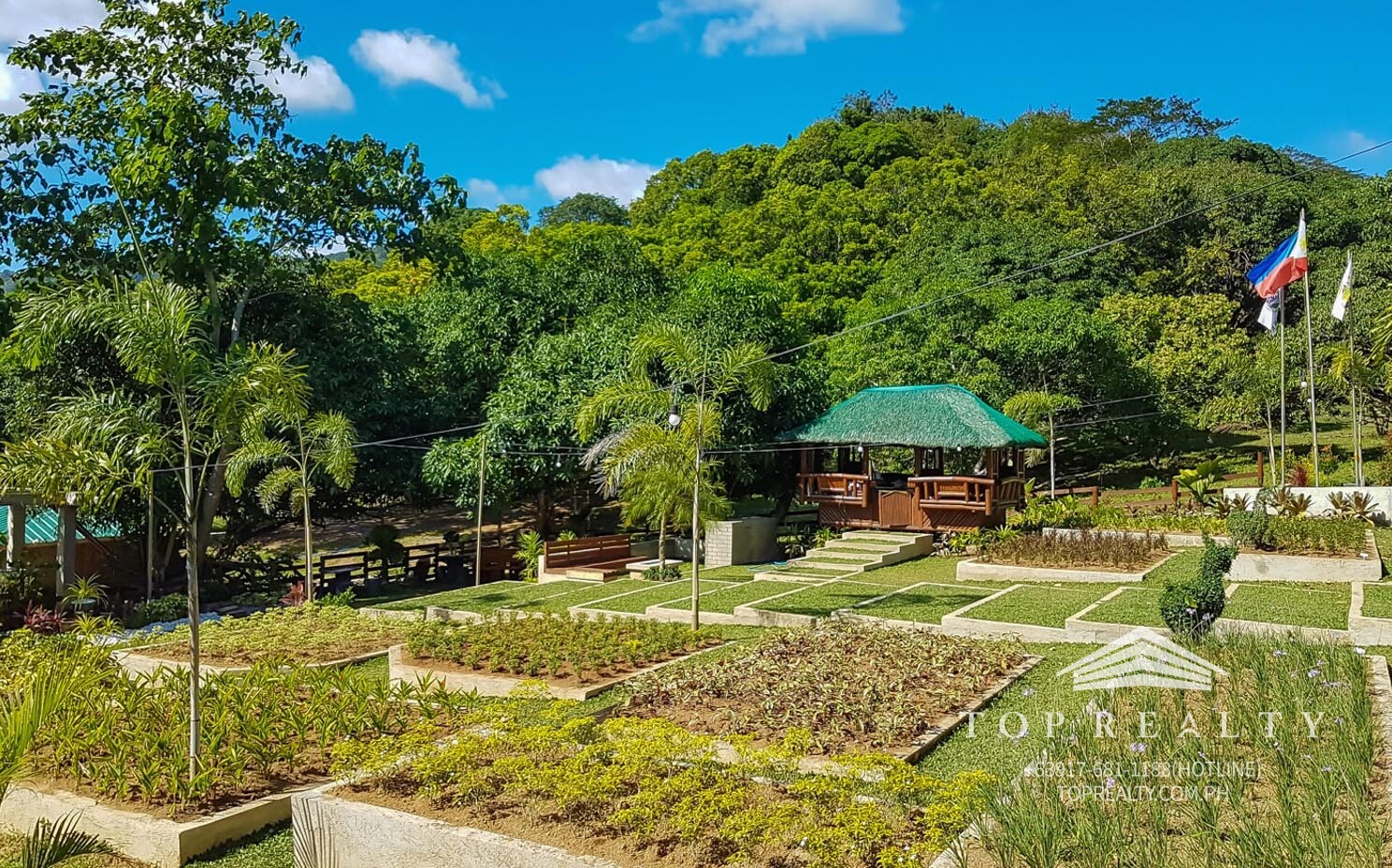 Top Realty Corporation DS882416 80k sqm Farm Lot For Sale with