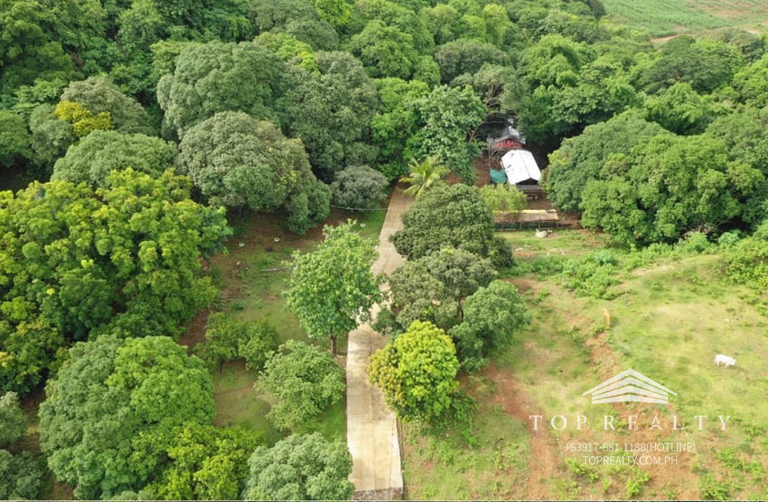 Top Realty Corporation DS882416 80k sqm Farm Lot For Sale with Overlooking Mountain view in