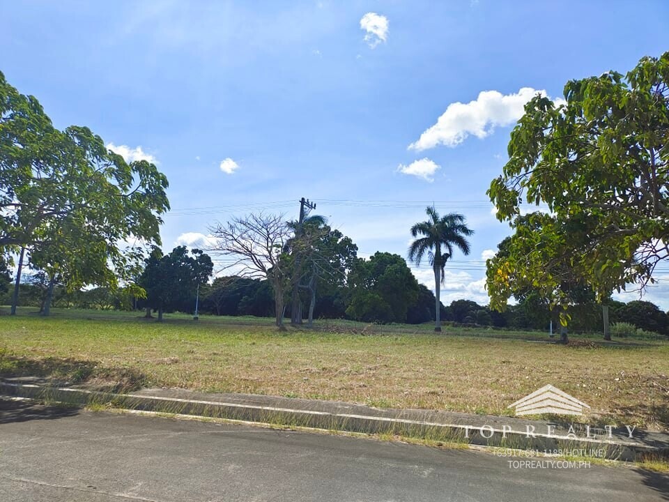 Top Realty Corporation DS88000667 Eagle Ridge Executive Village