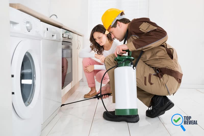 When Should You Hire a Termite Control Service in Adelaide? Top Reveal