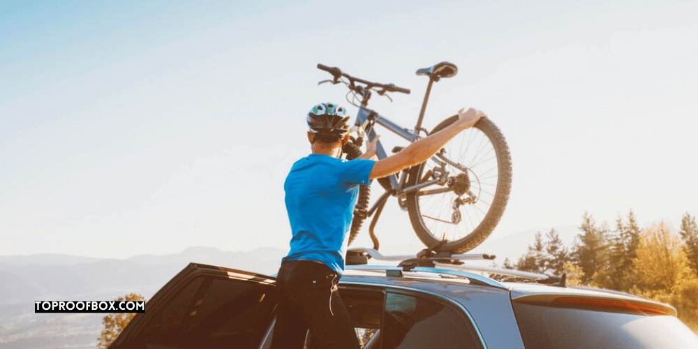 Platform Vs. Hanging Bike Rack Right One For Adventures?
