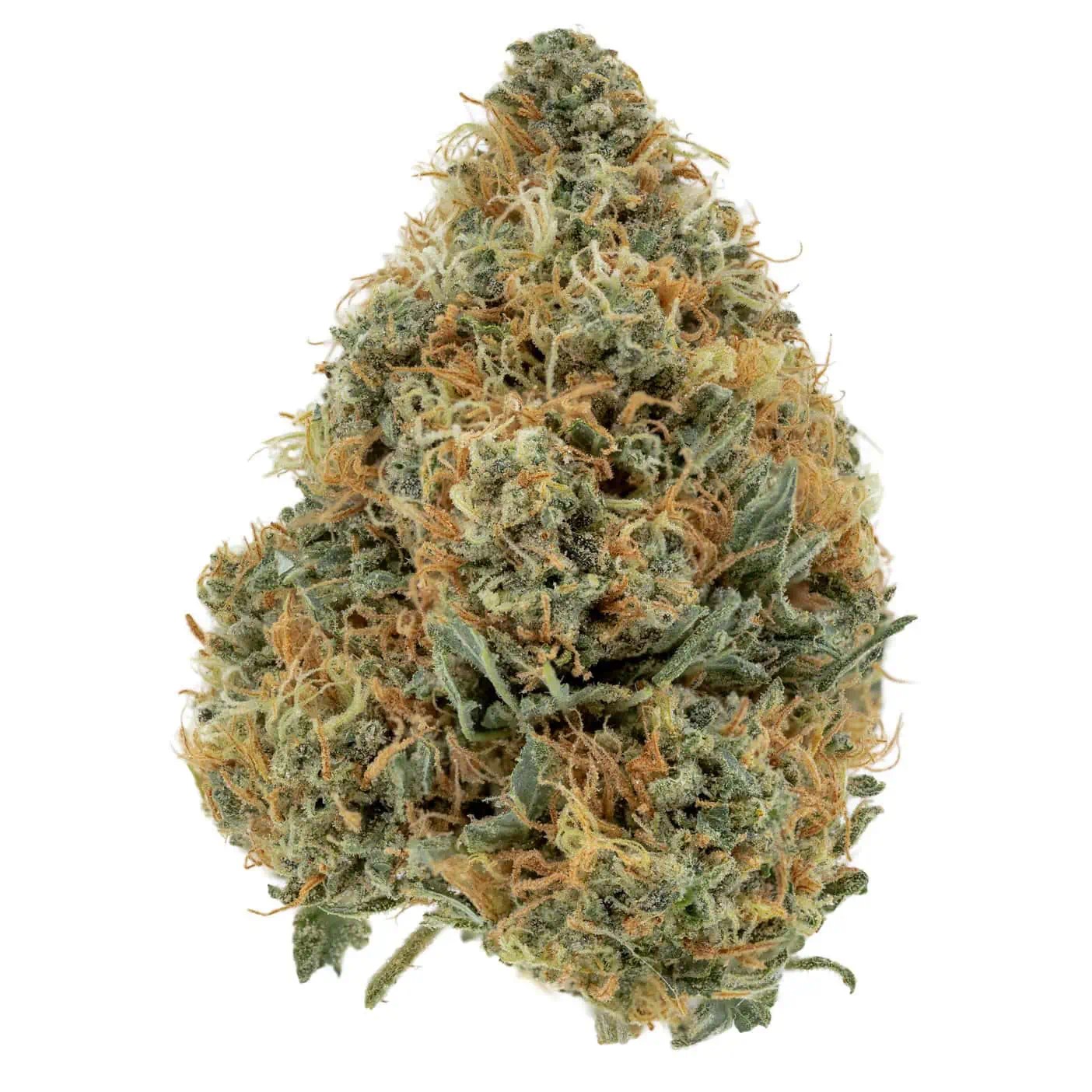 Buy Clementine Strain Online In Canada