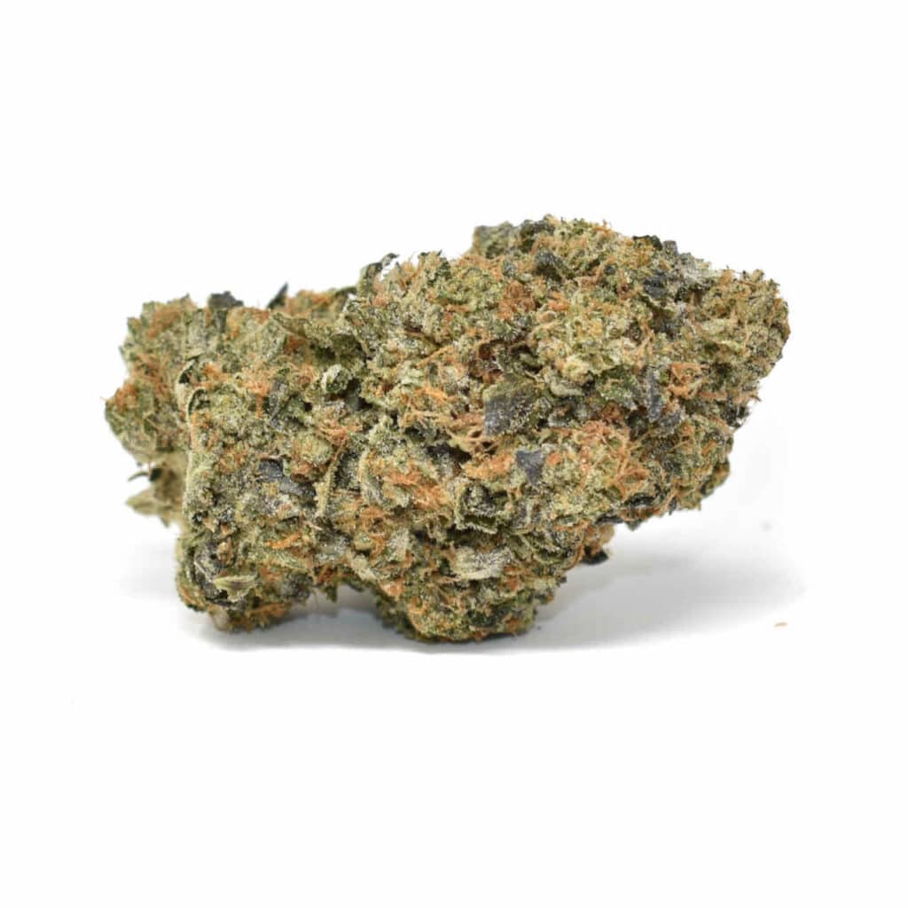 Elevate Mushroom Gummies Midnight Peach Micro Dose (1500mg) Top