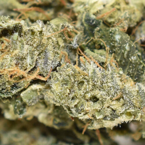 Buy Indica Online Indica Strains Top Shelf Express