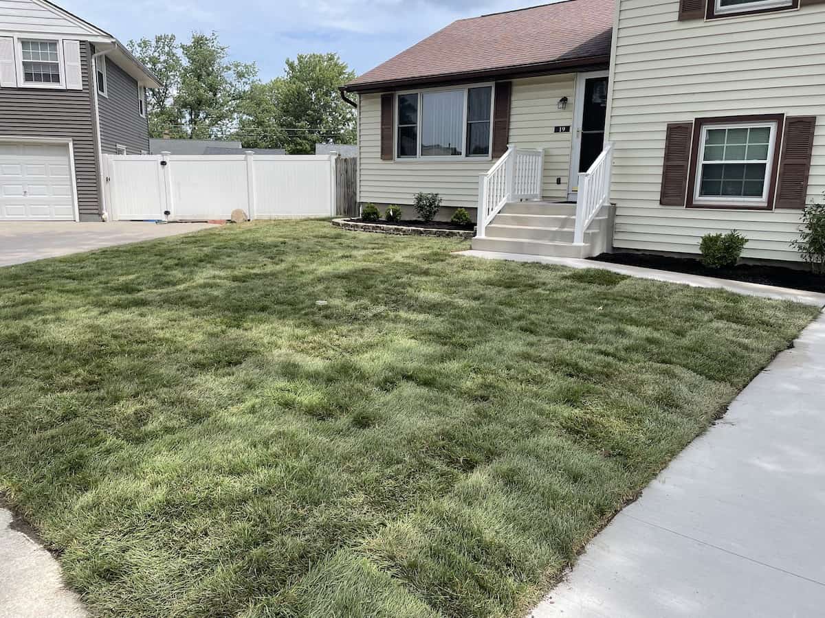 Sod & Grading Top Shelf Landscaping