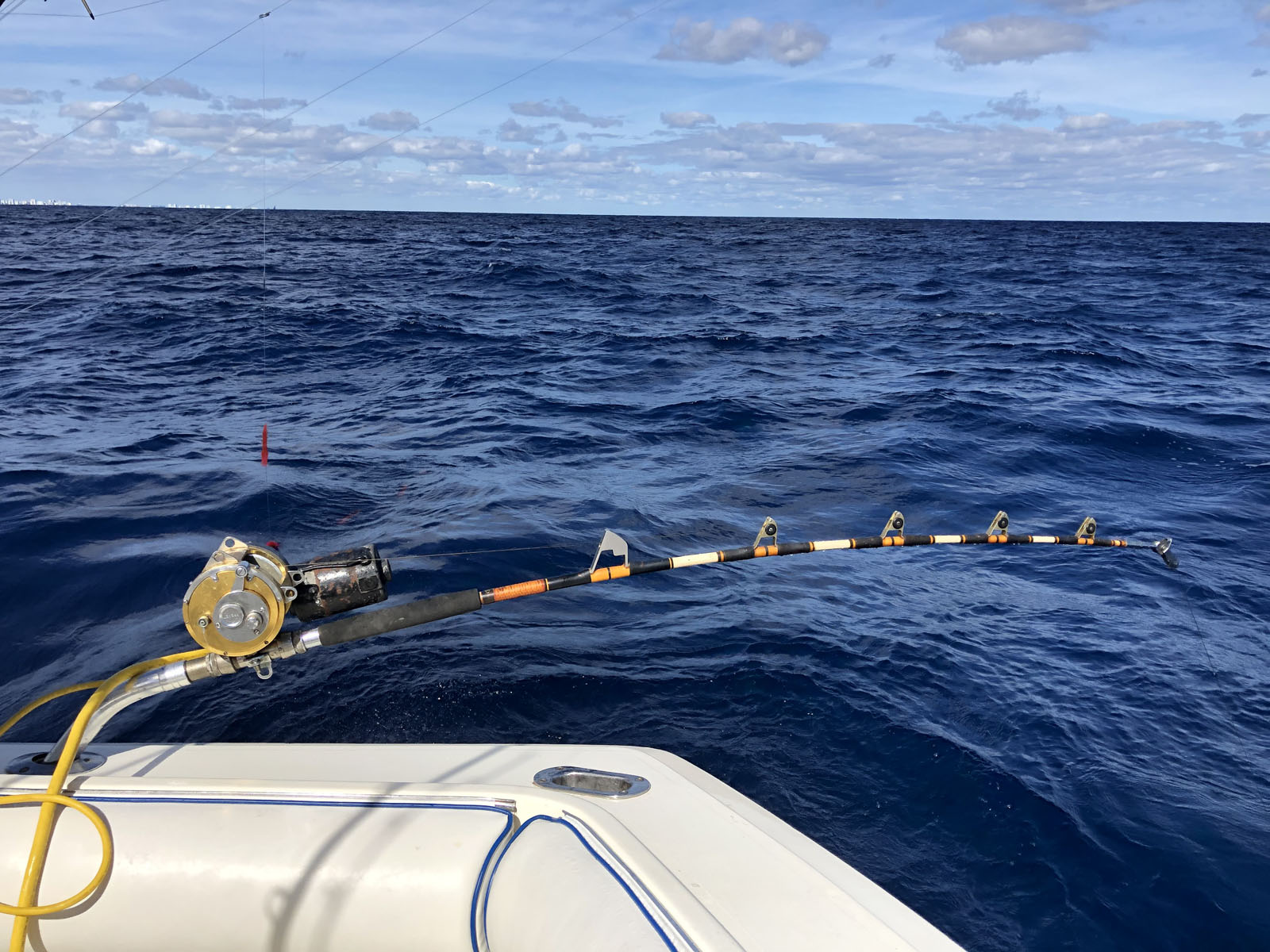 Wreck Fishing & Deep Dropping Top Shot Sportfishing Charters