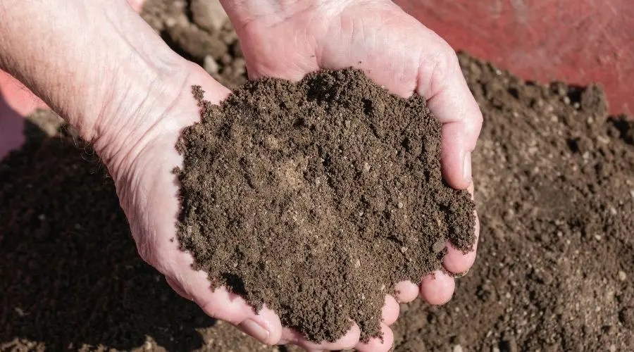 Learn More About Your Lawn